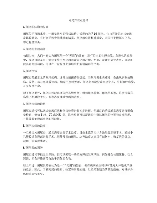 阑尾知识点总结