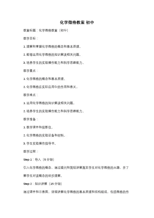 化学微格教案 初中