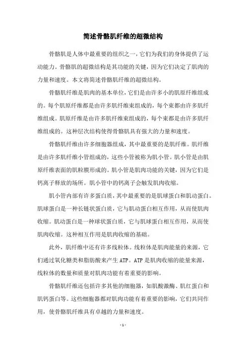 简述骨骼肌纤维的超微结构