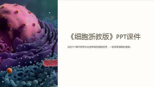 《细胞浙教版》课件