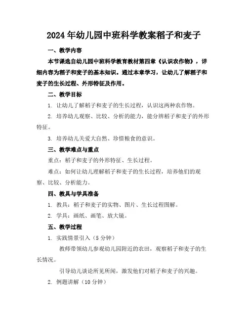 2024年幼儿园中班科学教案稻子和麦子(1)