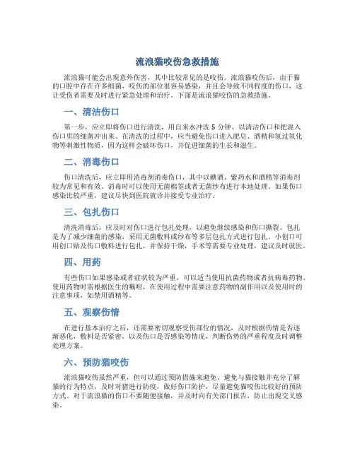 流浪猫咬伤急救措施
