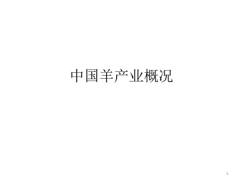 中国羊产业概况PPT课件