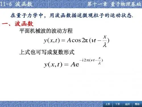 张丹海《简明大学物理》11-6 波函数