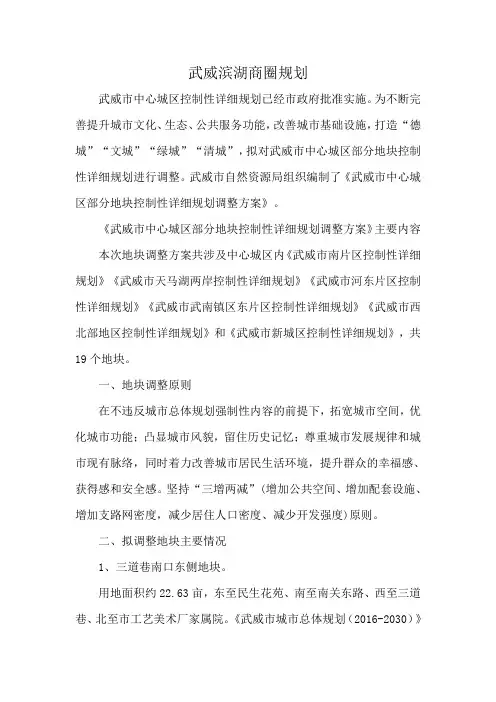 武威滨湖商圈规划