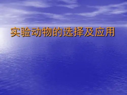 试验动物的选择及应用