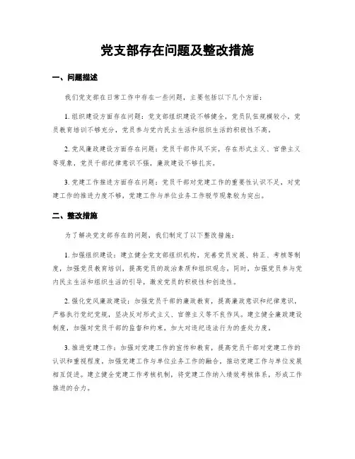 党支部存在问题及整改措施