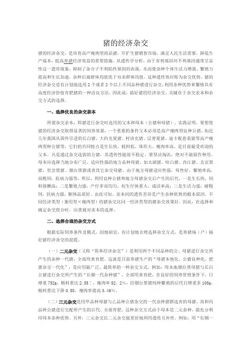 猪的经济杂交