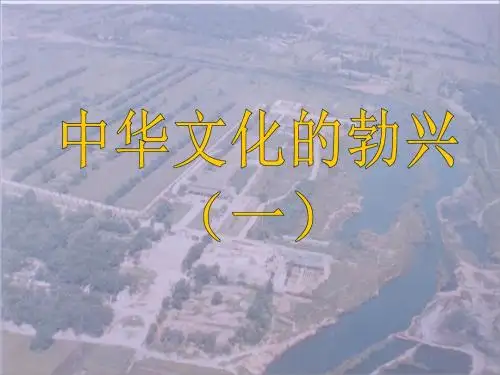 中华文化的勃兴(一)PPT优秀课件5 人教版