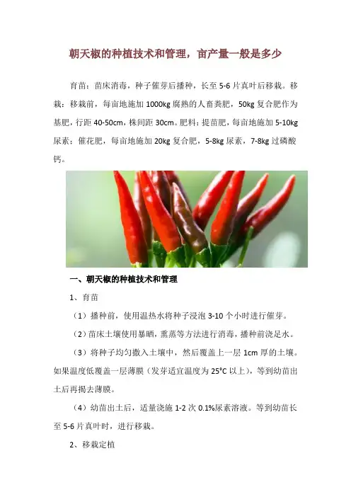 朝天椒的种植技术和管理,亩产量一般是多少