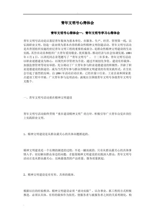 青年文明号心得体会