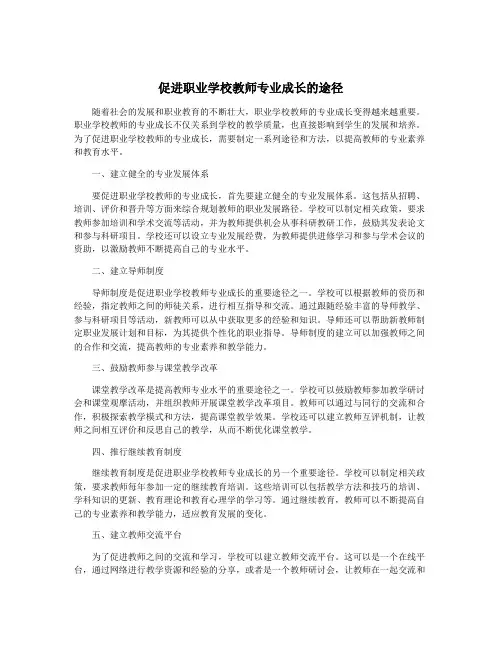 促进职业学校教师专业成长的途径