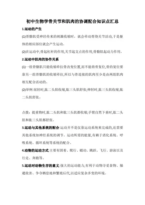 初中生物学骨关节和肌肉的协调配合知识点汇总