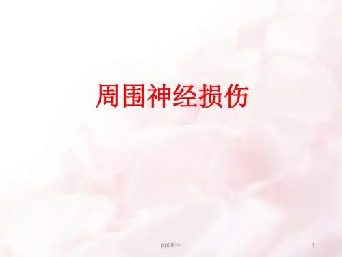 周围神经损伤 ppt课件