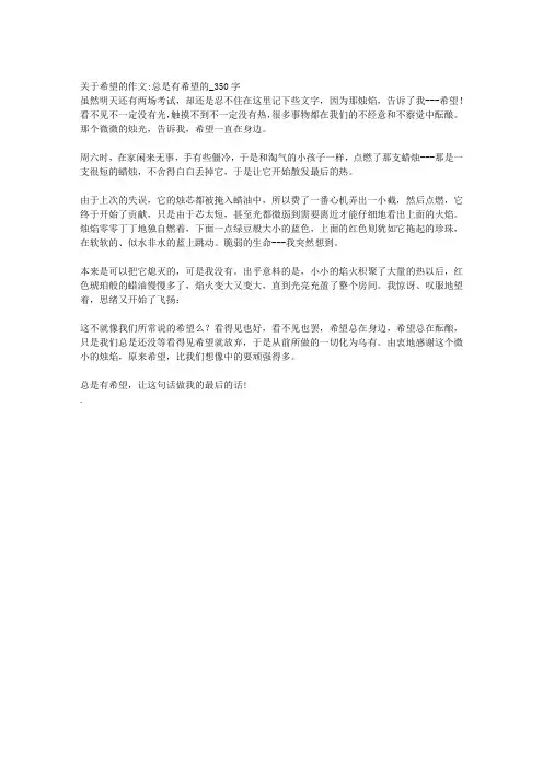 中小学作文大全 (80)