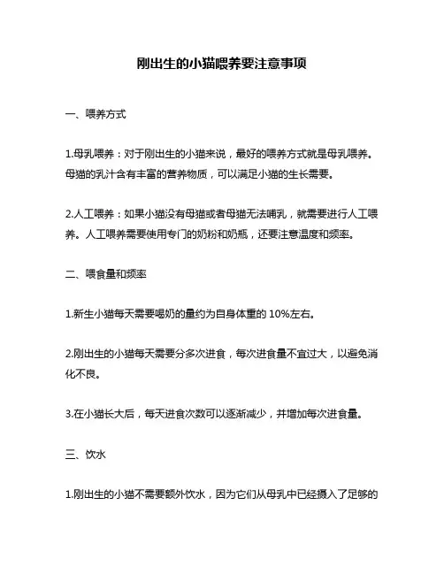 刚出生的小猫喂养要注意事项