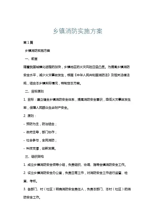乡镇消防实施方案