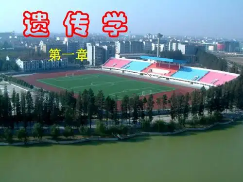01第一章  孟德尔规律