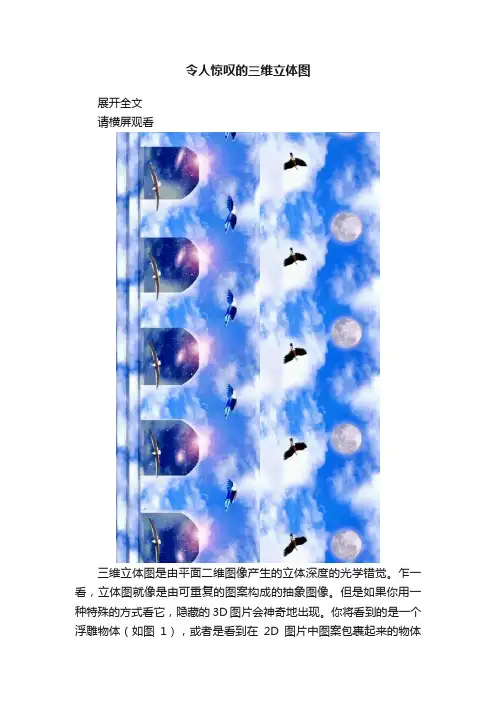 令人惊叹的三维立体图
