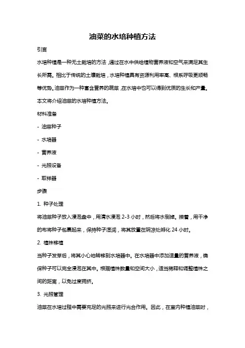 油菜的水培种植方法