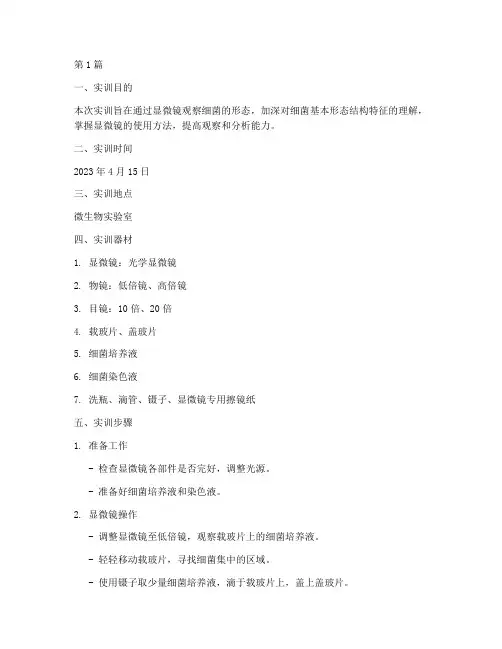 观察细菌形态实训报告(3篇)