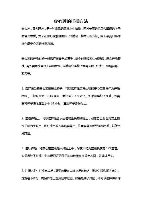 穿心莲的扦插方法