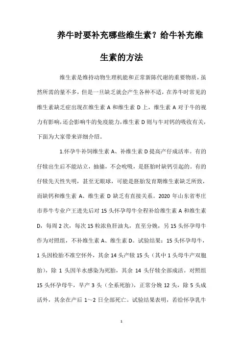 养牛时要补充哪些维生素？给牛补充维生素的方法
