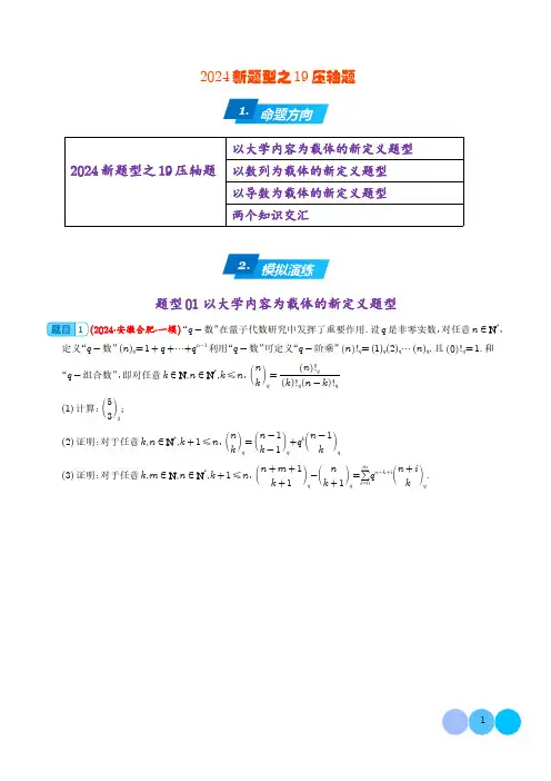 2024年高考数学新题型之19题压轴题专项汇编(学生版)