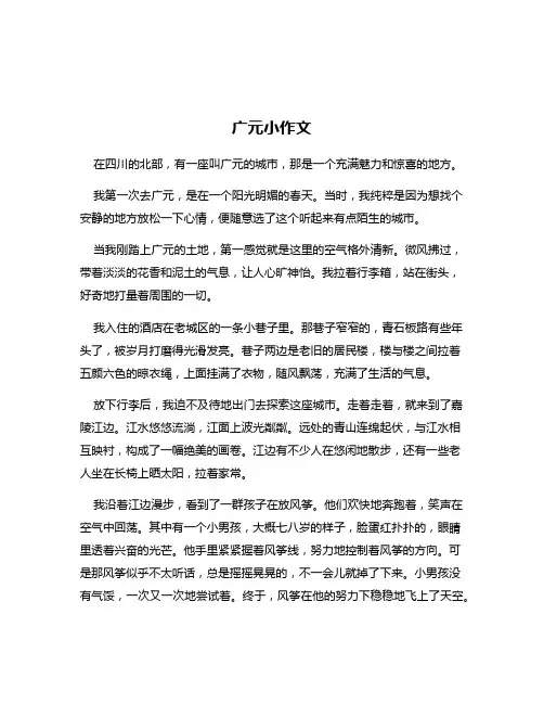 广元小作文
