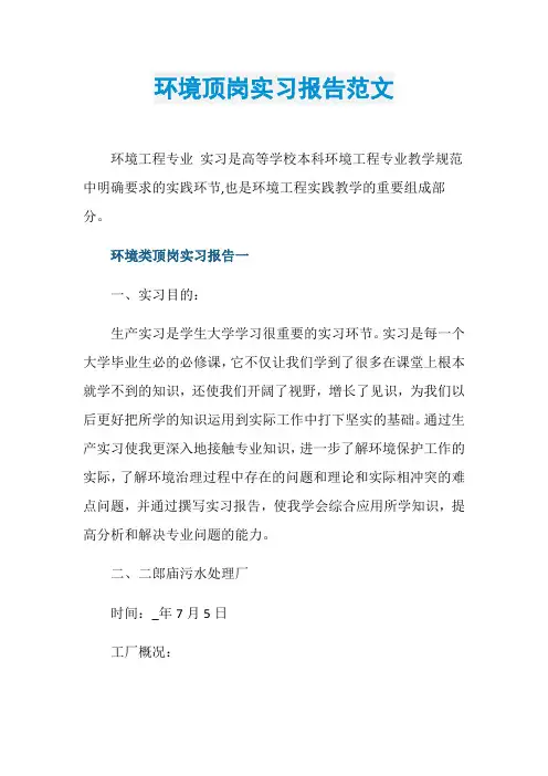 环境顶岗实习报告范文