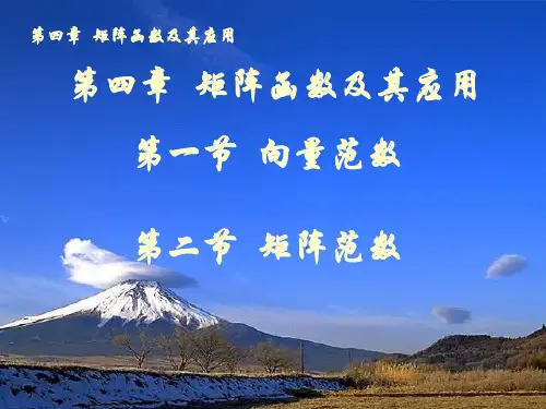 矩阵分析引论--第四章--矩阵的奇异值分解-向量范数、向量范数