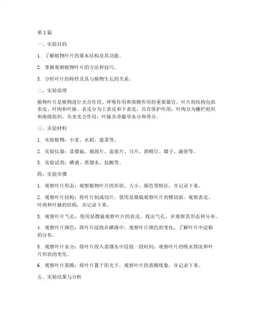 植物叶片特性实验报告(3篇)