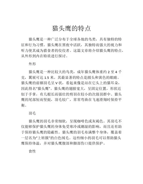 猫头鹰的特点 