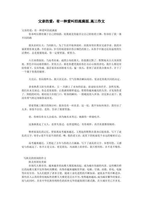 父亲的爱：有一种爱叫泪流满面_高三作文