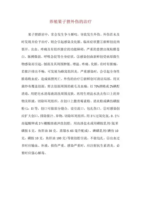 养殖果子狸外伤的治疗