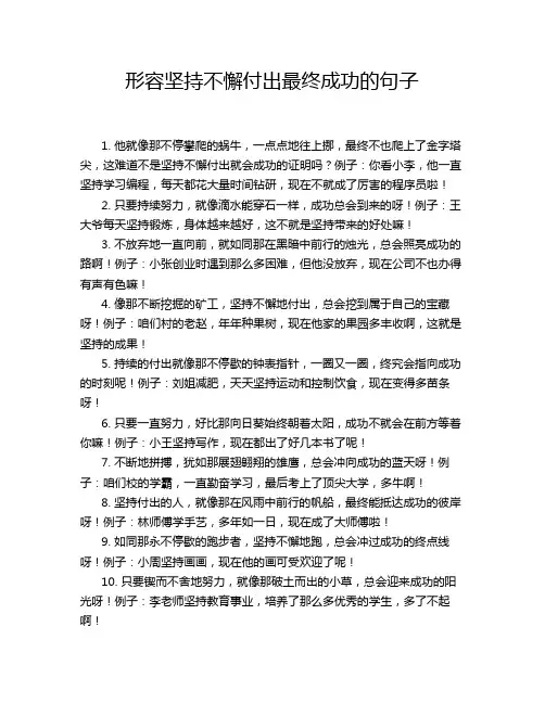 形容坚持不懈付出最终成功的句子