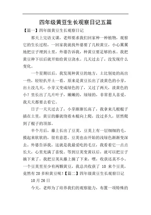 四年级黄豆生长观察日记五篇