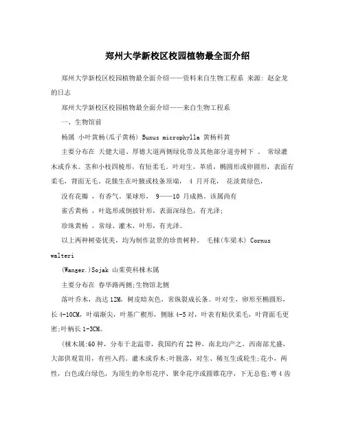 郑州大学新校区校园植物最全面介绍