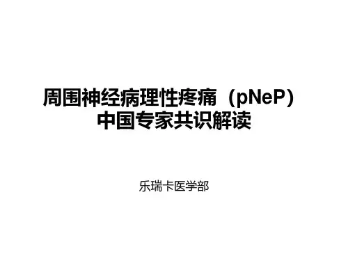 周围神经病理性疼痛中国专家共识