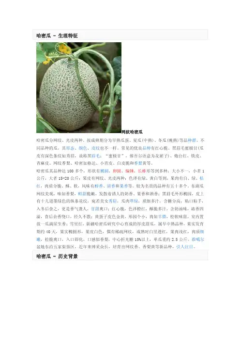 哈密瓜-生理特征