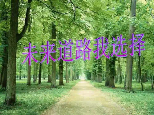 第三框未来道路我选择PPT课件