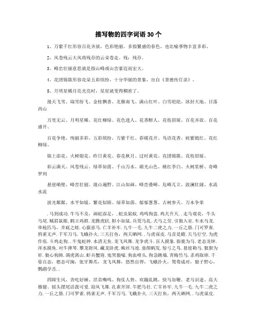 描写物的四字词语30个