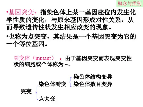 基因突变的概念与类别基因突变的部位和时间基因突变的一般
