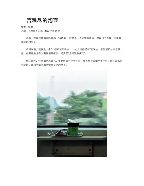 一言难尽的泡面