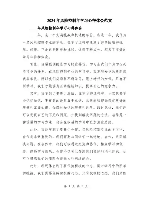2024年风险控制年学习心得体会范文