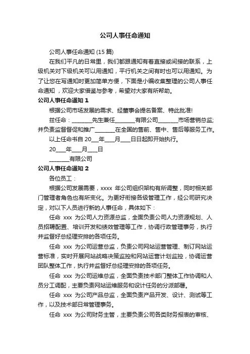 公司人事任命通知（15篇）