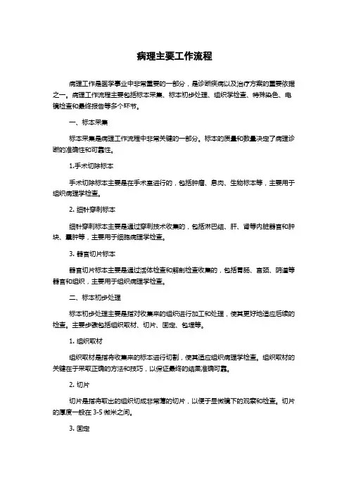 病理主要工作流程