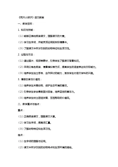 《两只小狮子》语文教案