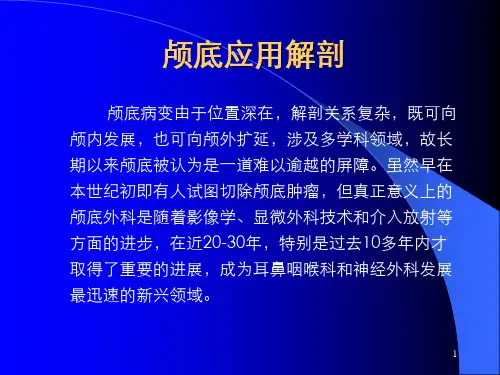 颅底应用解剖PPT课件
