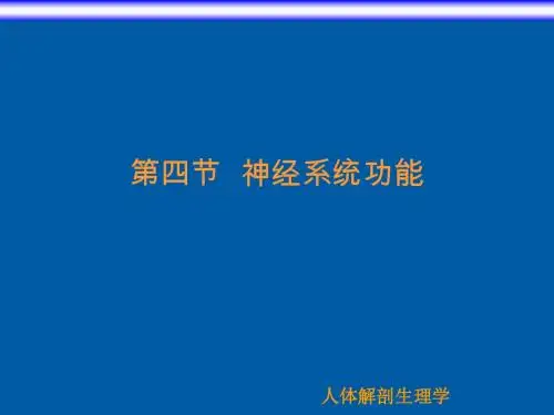 08神经系统 PPT课件